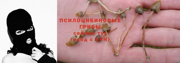 2c-b Алексин