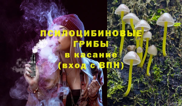 дживик Алексеевка