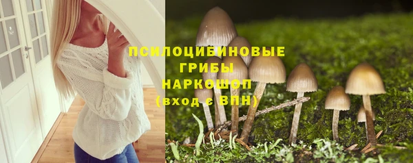 2c-b Алексин