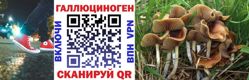 Псилоцибиновые грибы MAGIC MUSHROOMS  Тогучин 